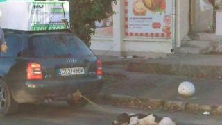 Добра новина! Спасиха кучето, вързано за кола в Бузовград
