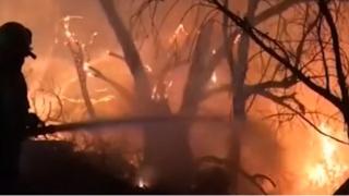 Извънредно: Два пожара бушуват в Сакар