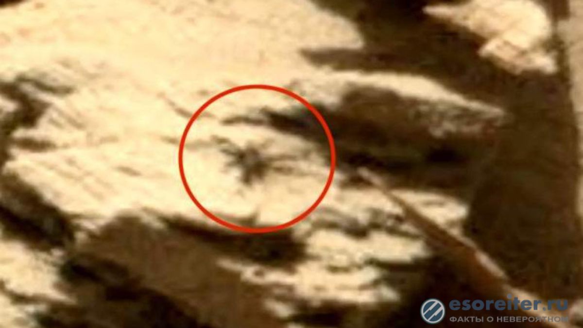 Уфолог разгледа снимки от Марс и откри нещо невиждано (ВИДЕО)