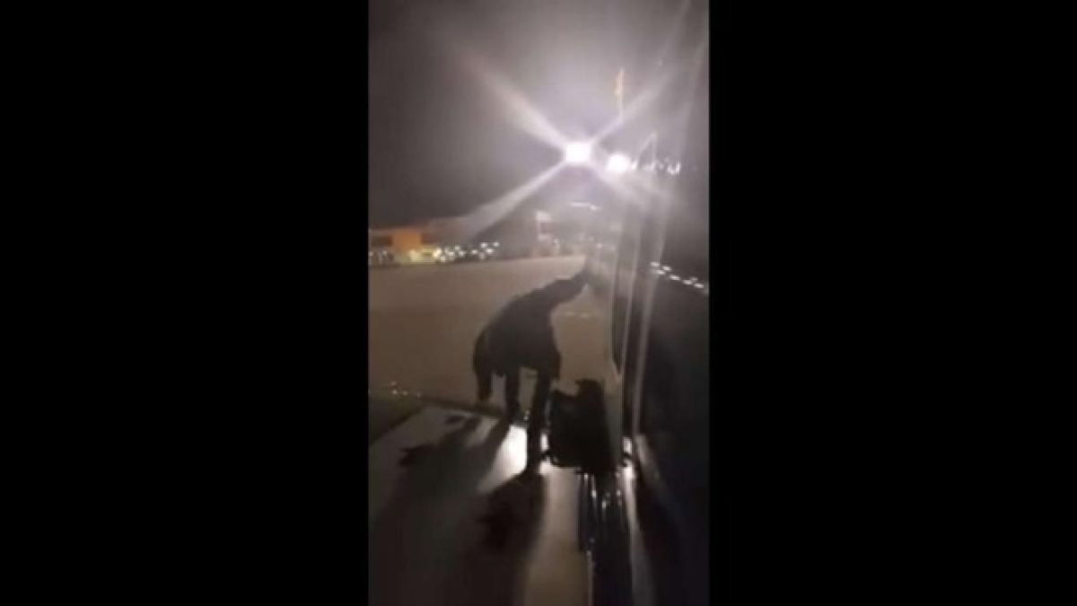 Изнервен поляк направи нещо нечувано в самолета, с който пътува (ВИДЕО)