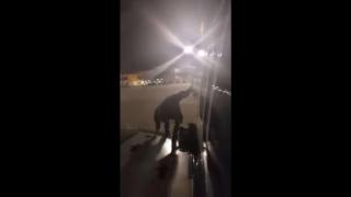 Изнервен поляк направи нещо нечувано в самолета, с който пътува (ВИДЕО)