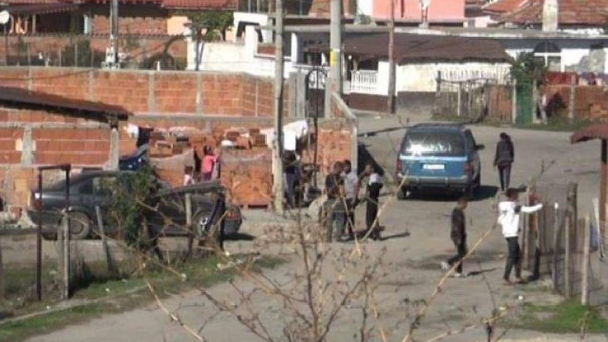 Пак безчинство! Цигани свирепо атакуват с брадви, мачете и моторни триони горски инспектори!