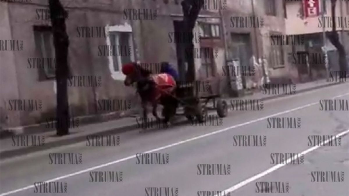Каруцар спретна страховита маневра в Благоевград (ВИДЕО)