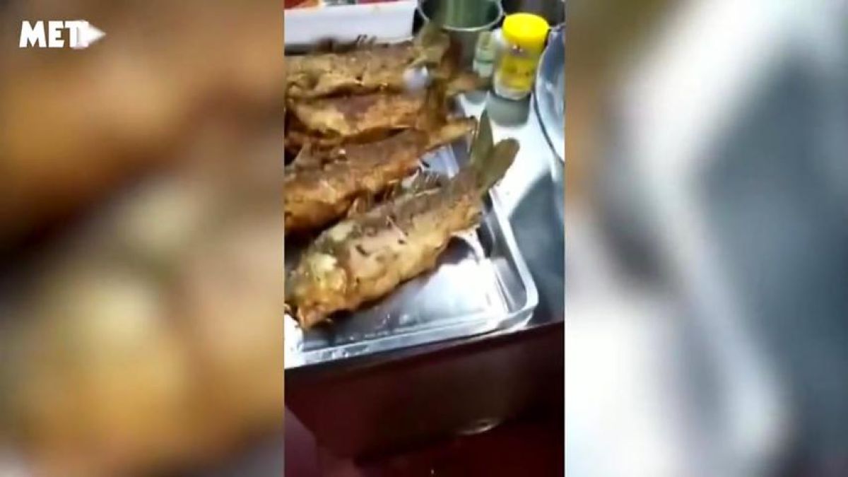 ВИДЕО с изпържена риба зомби ужаси мрежата 