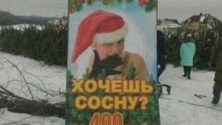 Искаш ли свирка за 11 лева? Ела в Башкирия! (СНИМКА)