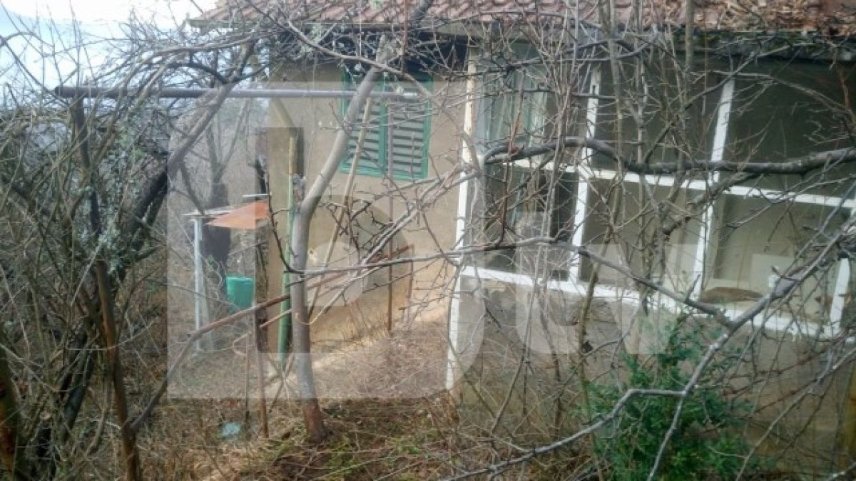 Изплуваха ексклузивни СНИМКИ от бърлогата, където намериха трупа на масовия убиец Росен