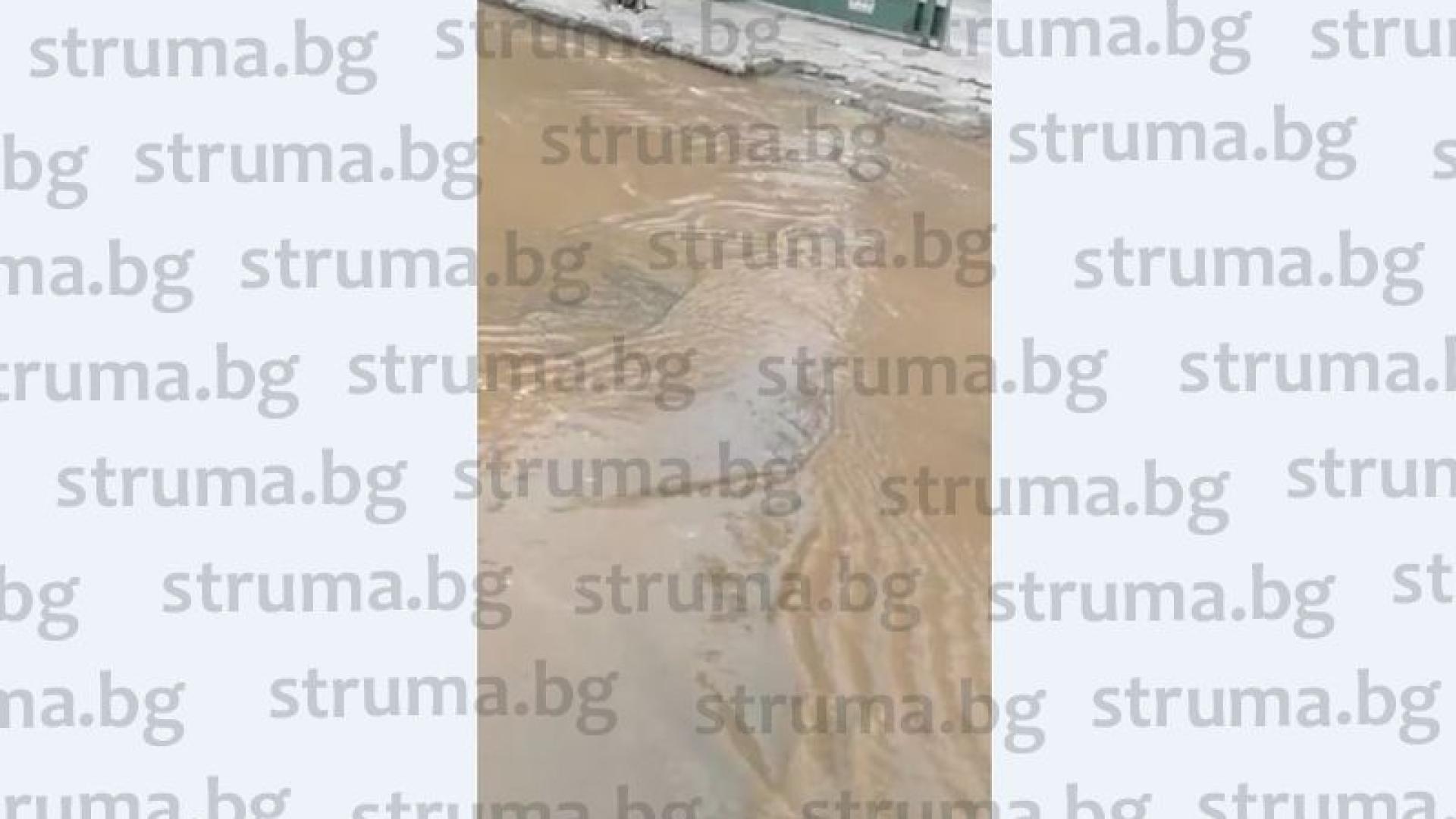 Гнусна напаст заля благоевградска улица (СНИМКИ)