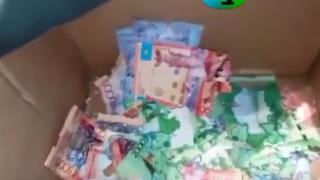 Мишки изядоха банкнотите в банкомат (ВИДЕО)