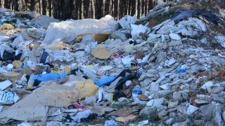 Няма да повярвате в какво се превърна "любовната горичка" на Кърджали 