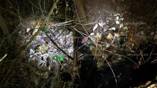 Деца се натъкнаха на ужасяваща гледка в кърджалийски парк (СНИМКИ)
