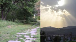 Първи подробности за зловещата находка в Кърджали