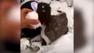 Шокиращо ВИДЕО 18+: Ученици жестоко пребиха и издевателстваха над своя съученичка. Сега баща й ги търси