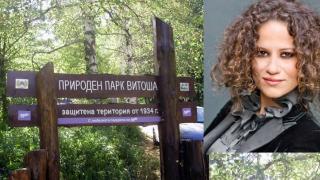 Белослава опита да заграби с шашма 10 декара на Витоша! Ето подлата й схема