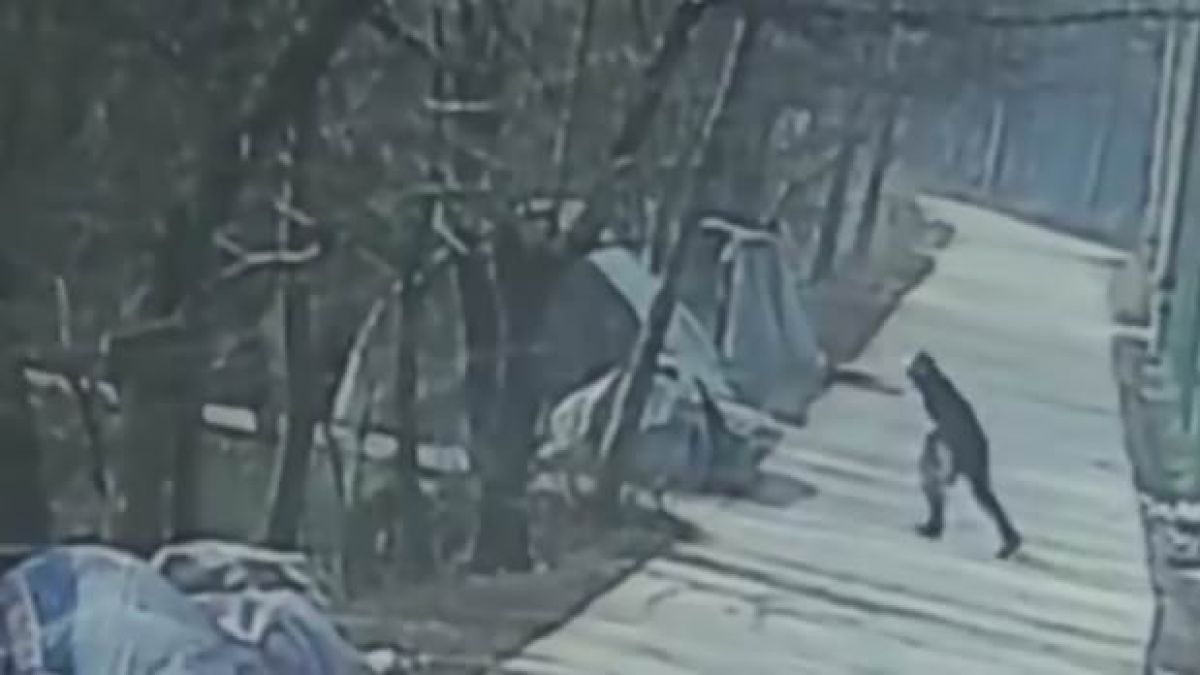 Стопанин на куче смаза до смърт убиеца на своя любимец (СНИМКИ)