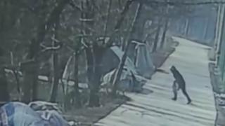Стопанин на куче смаза до смърт убиеца на своя любимец (СНИМКИ)