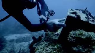 Намериха наркоподводница на Пабло Ескобар (ВИДЕО)