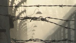 Скандал: Полша прие исторически закон, Израел е бесен от акта 