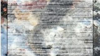 Брутално двойно убийство от упор в лесопарк "Липник" разтърси Русе (СНИМКИ 18+)