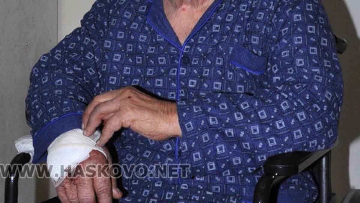 Шок! Овчарско куче нахапа зверски съсед на Румен Радев 