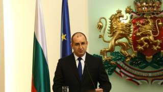 Президентът сезира КС заради частната охранителна дейност 