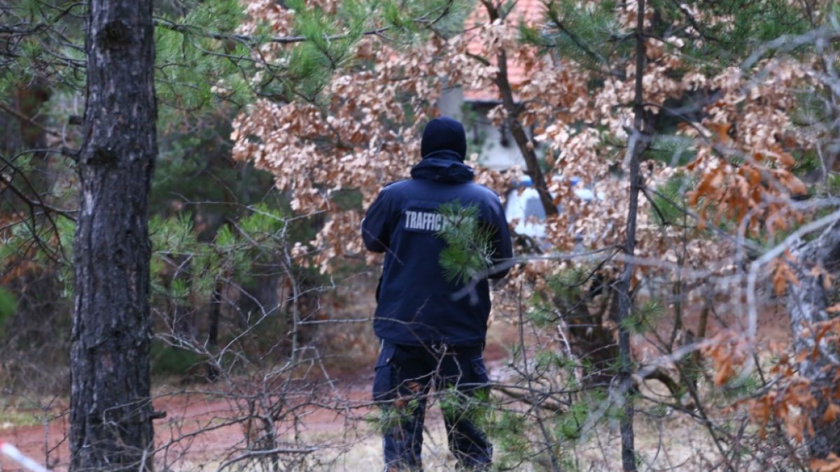 Русе в паника заради изгубени младежи, търсят ги под дърво и камък