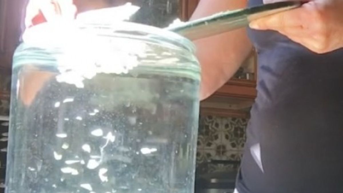 Направих си чеснова вода, полях орхидеите, които бяха умрели и те възкръснаха! (СНИМКИ)