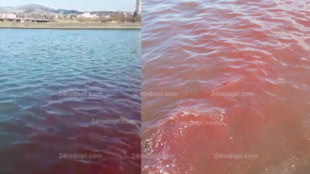 Шокирани кърджалийци: Тонове кръв се изливат във Водното огледало (ВИДЕО)