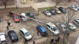Вятърът докара в България Апокалипсиса! Хиляди са без ток, десетки изкоренени дървета, на места положението е бедствено (ОБЗОР/СНИМКИ)