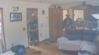 Куче открадна закуска и за малко да опожари къща в САЩ (ВИДЕО)