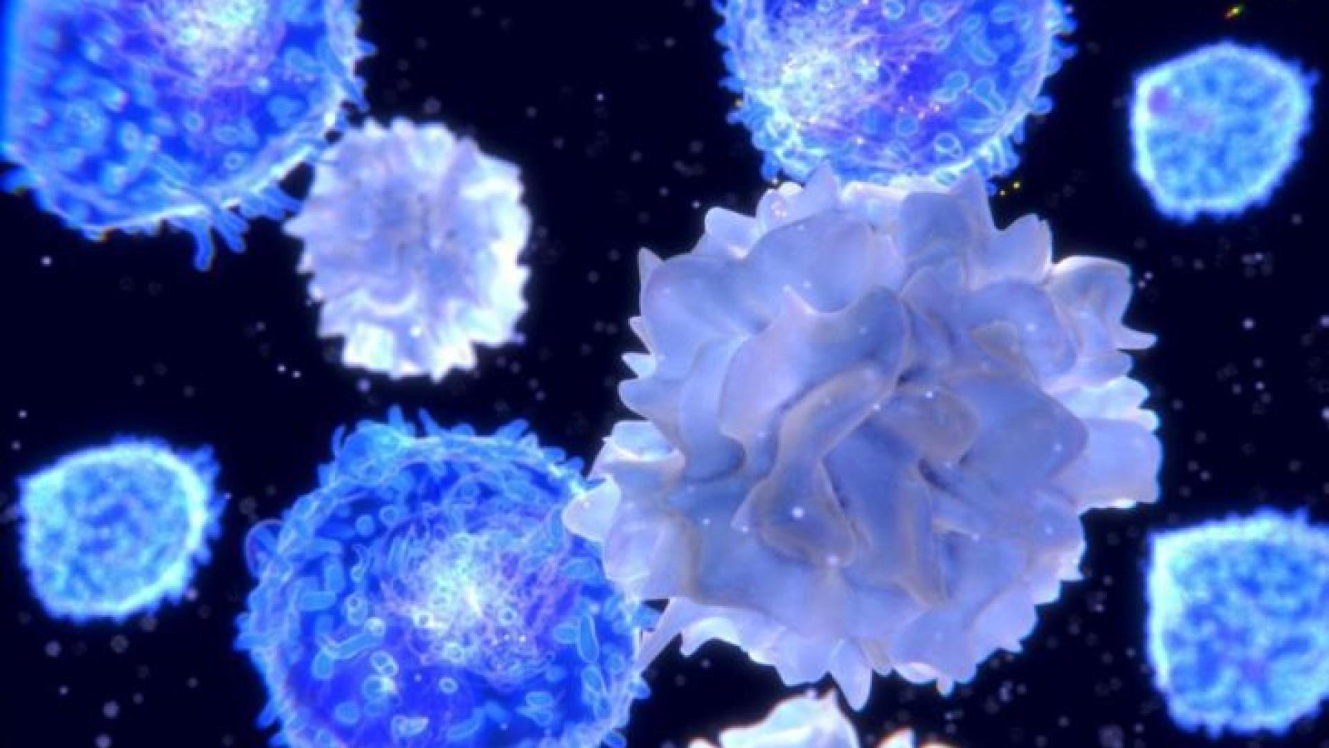 Опасна инфекция се завърна в Югозапада