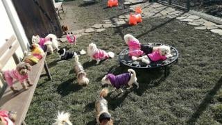 Всички се шашардисаха от това, което данъчните във Варна пуснаха на търг, но сега се появиха кошмарни разкрития (СНИМКИ)