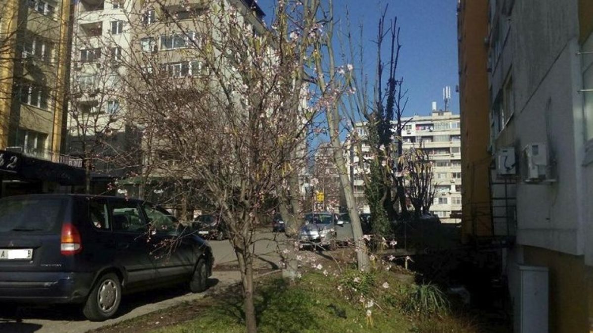 В Бургас вече е пролет! В "Меден рудник" гледат и не вярват на очите си (СНИМКИ)