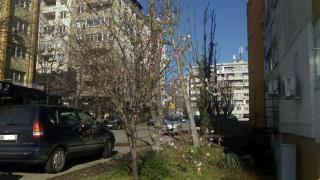 В Бургас вече е пролет! В "Меден рудник" гледат и не вярват на очите си (СНИМКИ)