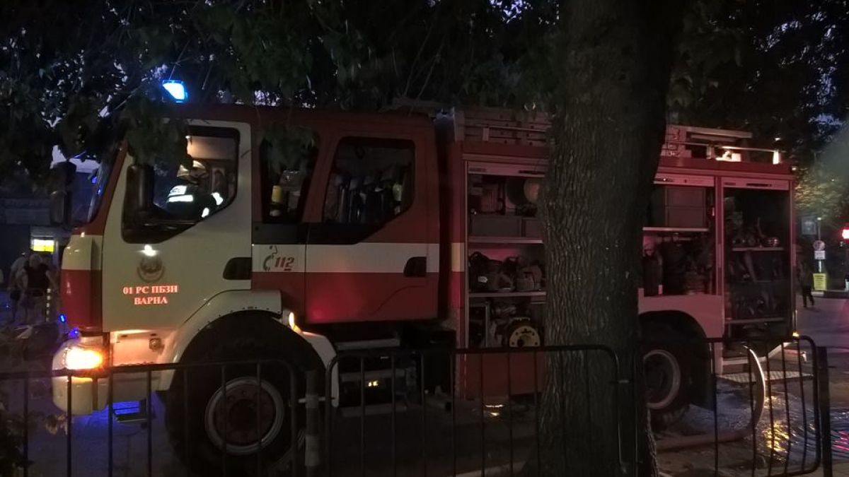 Сигнал до БЛИЦ: Дърво падна върху ограда в "Лозенец"