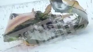 Източник от разследването обяви първа версия за катастрофата с Ан-148 и последните думи на пилотите (АУДИО)