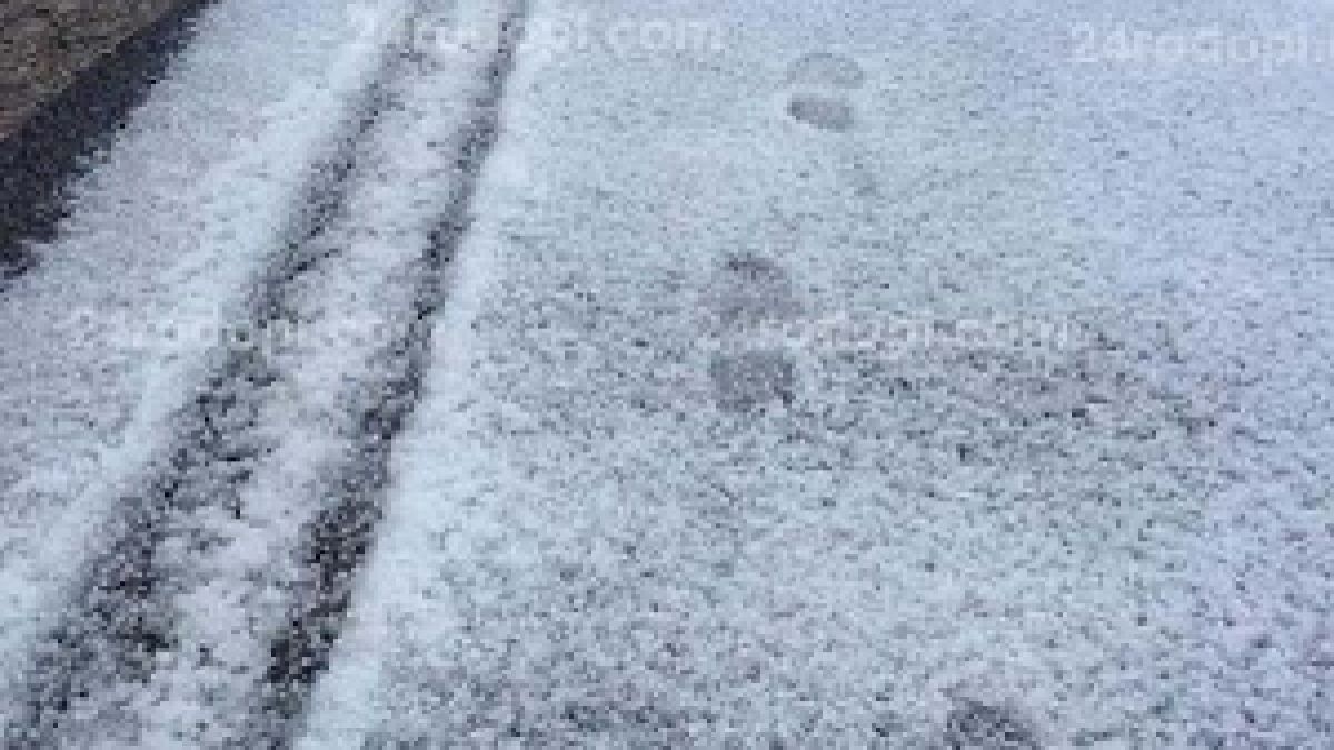 Шок в Родопите! Цяло село се чуди какво е това чудо, което се изсипа от небето (СНИМКИ)