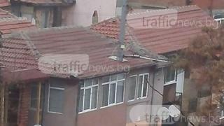 Изненада! Вградените улични стълбове в Пловдив се роят (СНИМКА)