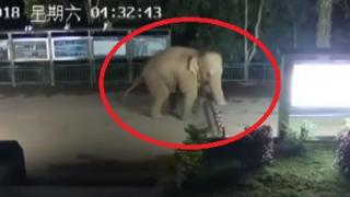 Подобно бягство през граница рядко може да се види (ВИДЕО)