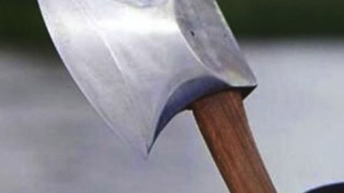 Двама братя се хванаха за гушите, по-големият грабна брадвата и стана страшно
