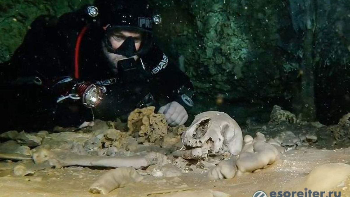 Невероятно: Череп с микрочип на 12000 години открит в подводна пещера край Мексико