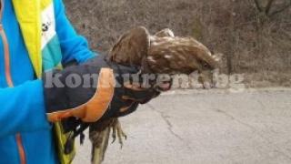 Жандармерист-парапланерист направи нещо, което трябва да е за пример на всички