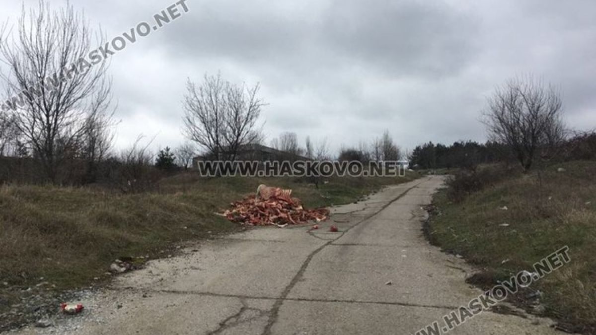Пейзаж като от филм на ужасите край Хасково (СНИМКИ)