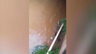 Момче скочи от мост и загина, а неговите приятели се хилят и снимат ВИДЕО 