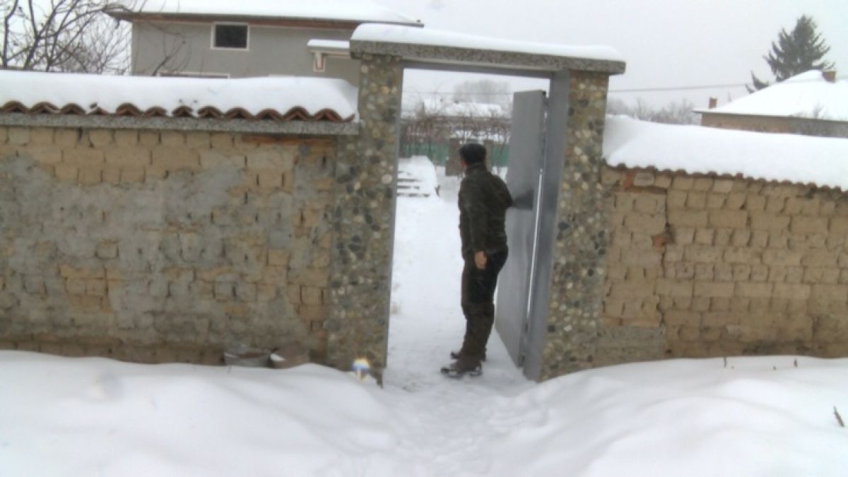 Подивели питбули нахапаха стопанката си край Стара Загора