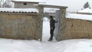 Подивели питбули нахапаха стопанката си край Стара Загора