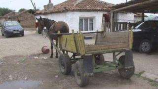 Дядо намери нещо много опасно в нивата си и изправи на нокти цяло село 