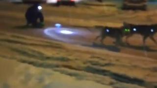 Жоро от Пазарджик намери уникален начин да се придвижва по заснежените улици на града (ВИДЕО)