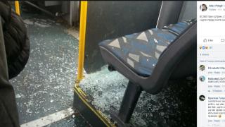 Само в БЛИЦ! Дърво, камък и... стъкло на автобус 260 се пукат от студ в София (СНИМКА)