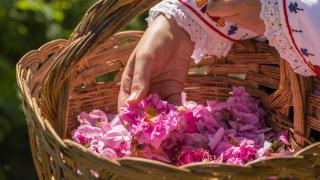 Виетнам ни направи страхотно признание 
