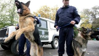 Див екшън в Бургаско! Полицаи със следово куче погнаха опасна банда 